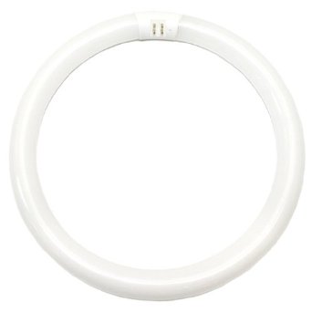 Eiko 15606 FC12T9/CW 32 watt T9 Circline Fluorescent Lamp, 12 in. diameter, 4-Pin (G10q) base, 4100K, 1950 lumens, 12,000hr life, MOL 12"