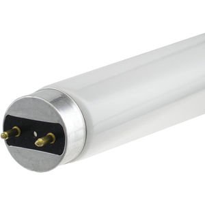 GE 66474 F34CX41/WM/ECO 34 watt T12 Linear Fluorescent Lamp - Lighting Supply Guy