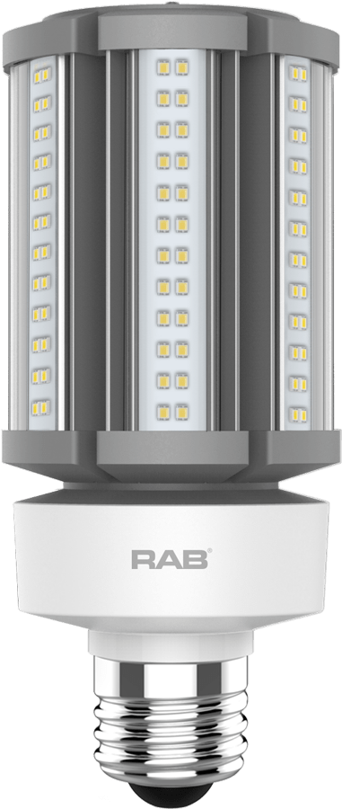 Rab HID - 36 - E26 - 850 - BYP - PT Lamp - Lighting Supply Guy