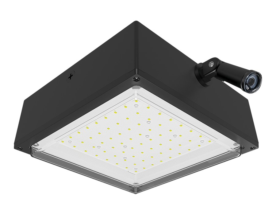 Rab VANLED10/PCS Fixture - Lighting Supply Guy