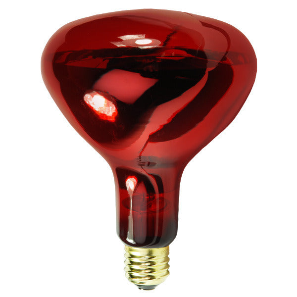 Havells 03072 250BR40/10/RED/120V Red 250 watt BR40 Reflector Flood Lamp, Medium (E26) base, 6,000hr life, 120 volt