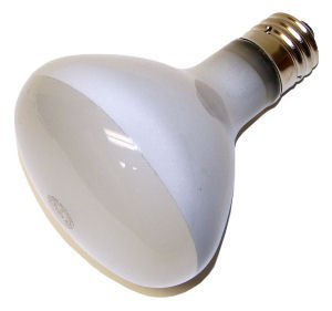 GE 21213 300R/FL/120V Lamp - Lighting Supply Guy