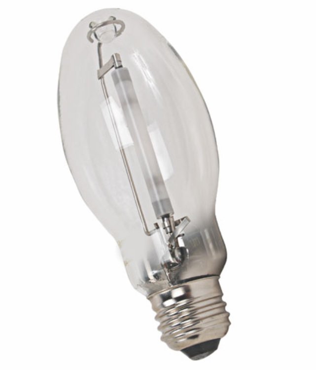 Plusrite 2003 LU100/ED17/MED Lamp - Lighting Supply Guy