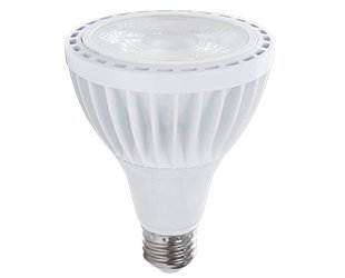 Rab PAR30L-19-E26-930-40D-ND 19 watt PAR30 LED Long Neck Floodlight Lamp - Lighting Supply Guy